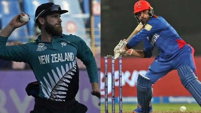 Afghanistan National Cricket Team vs New Zealand National Cricket Team Stats